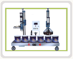 FL型定量罐裝機(jī)-系列三